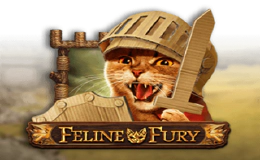 Feline Fury